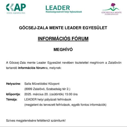 PLYZATI INFORMCIS FRUM - GCSEJ-ZALA MENTE LEADER EGYESLET